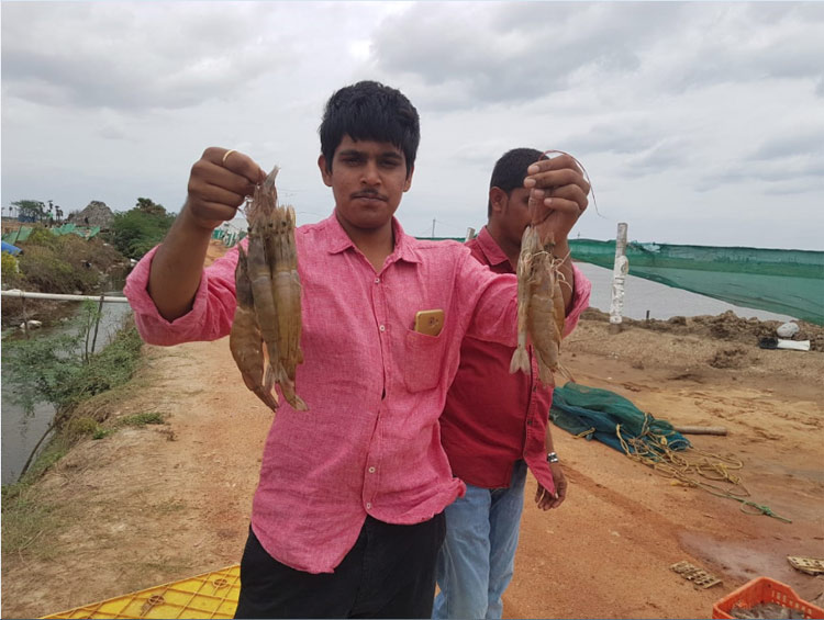 Aquatech Formulations Gallery