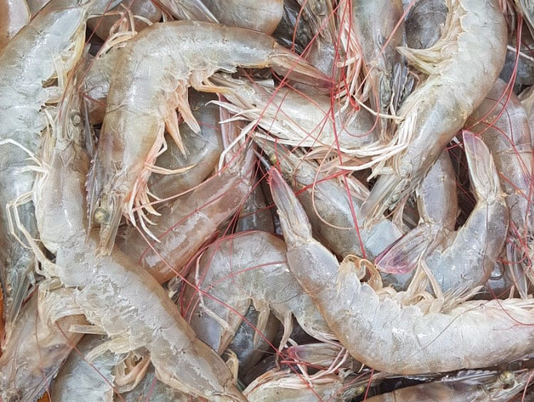 Aquatech Formulations Gallery