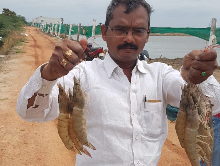 Aquatech Formulations Gallery