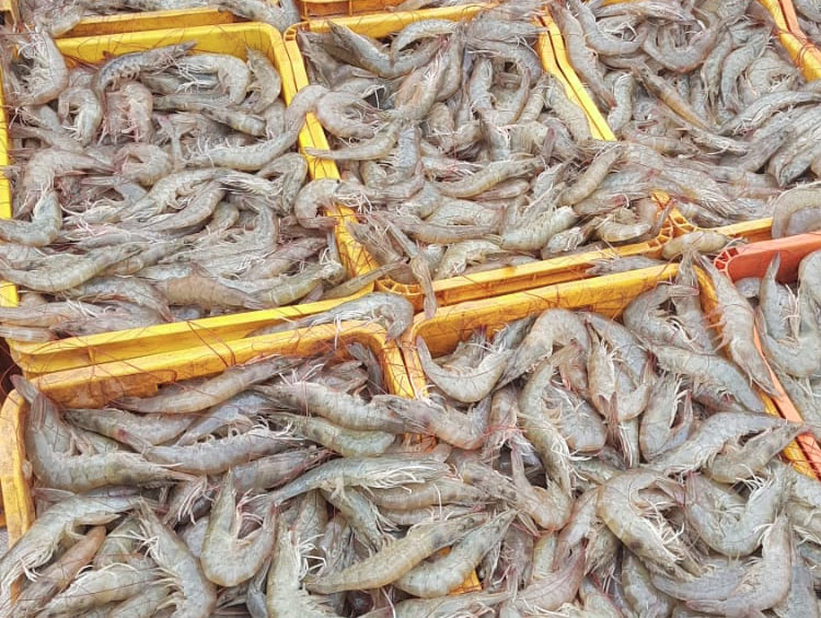 Aquatech Formulations Gallery