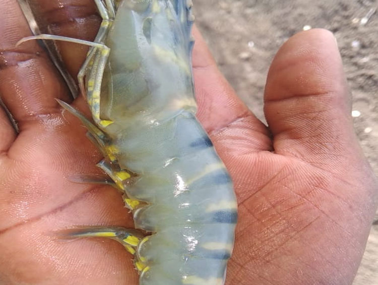 Aquatech Formulations Gallery