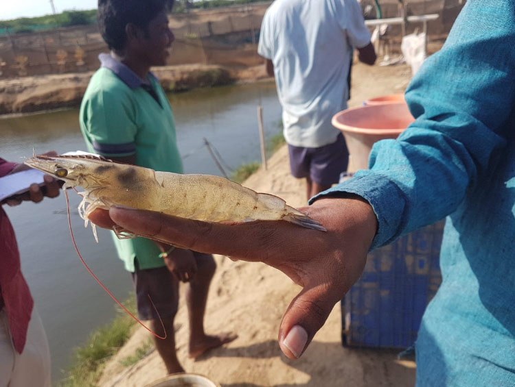 Aquatech Formulations Gallery