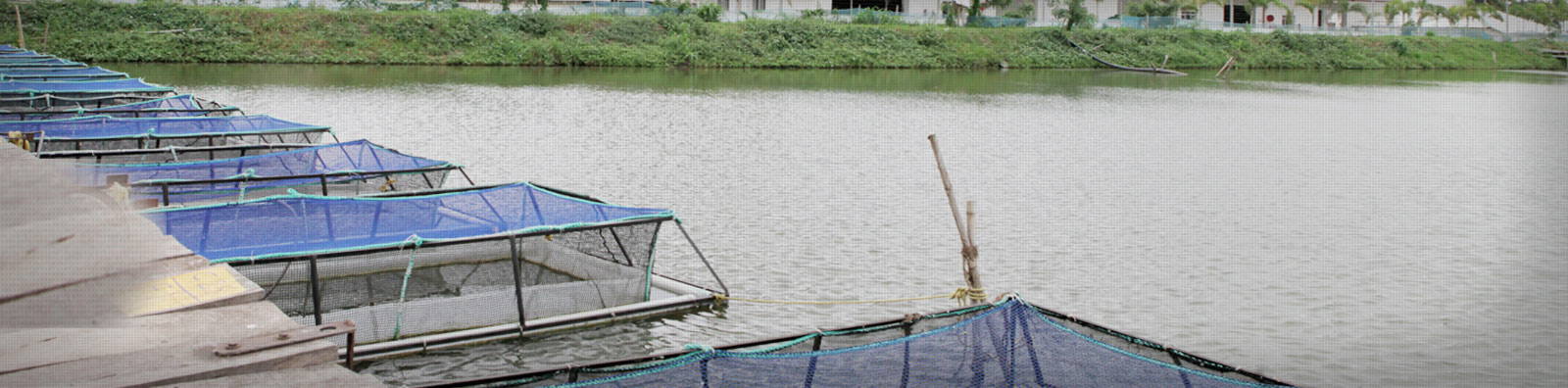 Research and Development