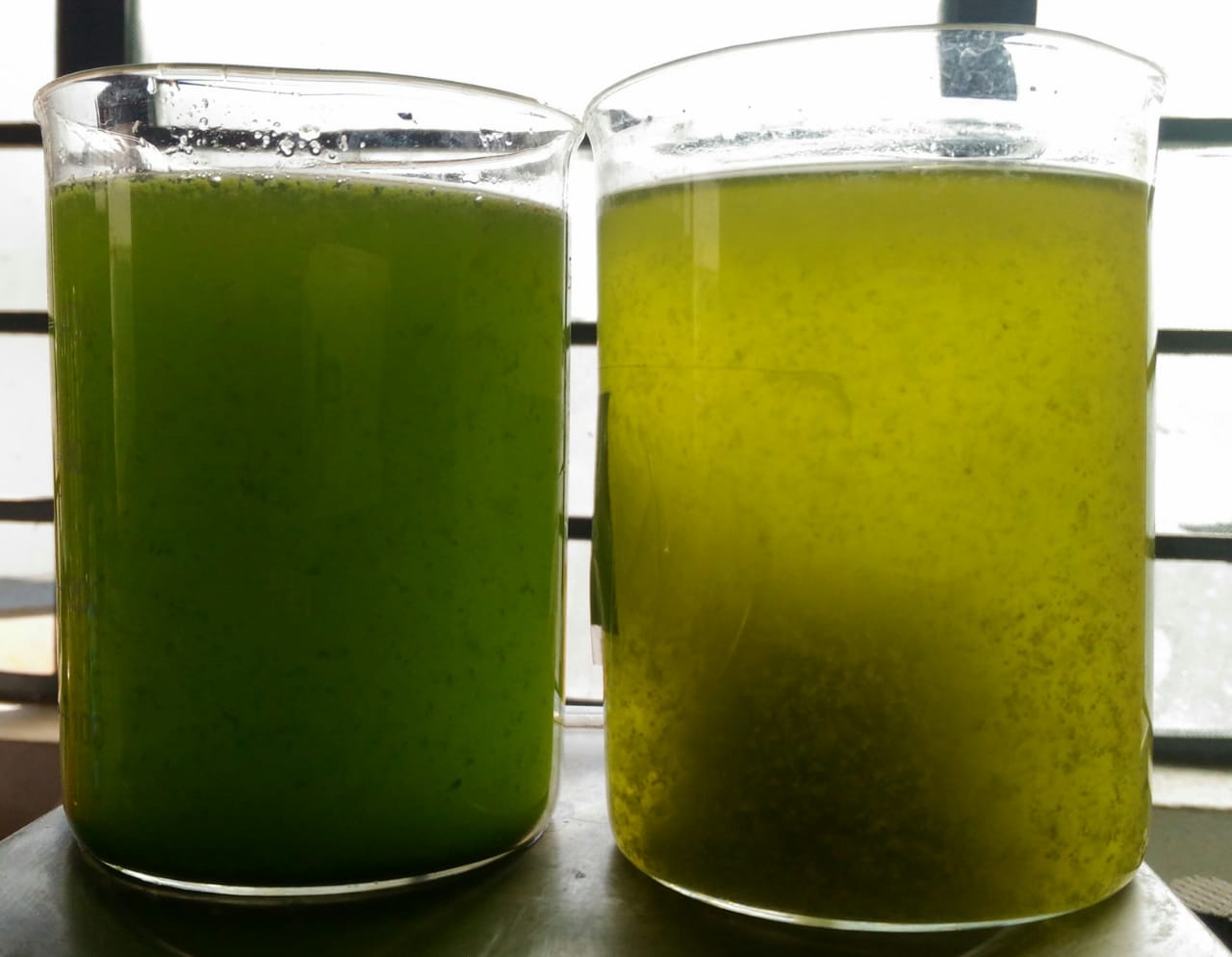 Research and Development