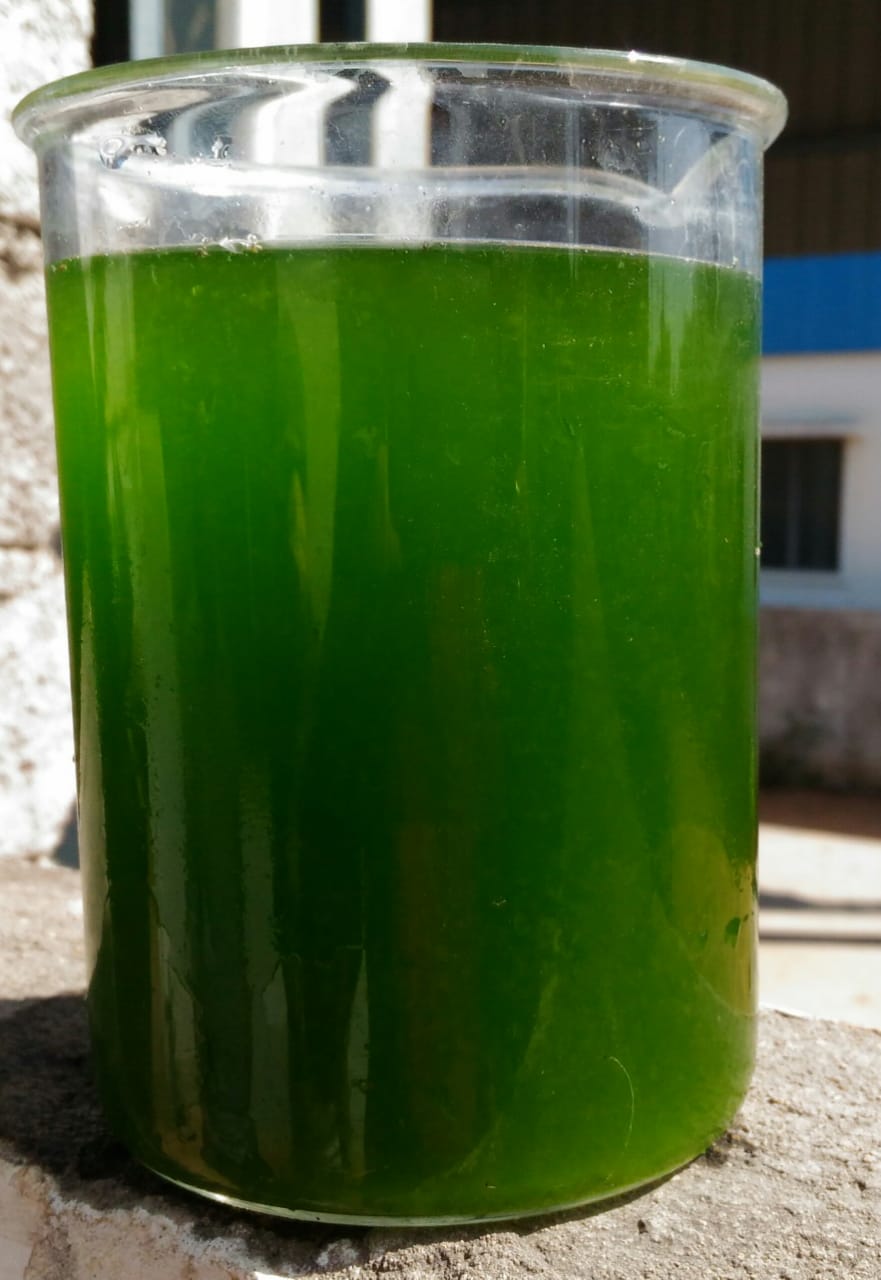 Research and Development