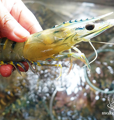 Aquatech Formulations Technology