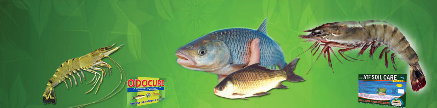 Aquatech Formulations Technology